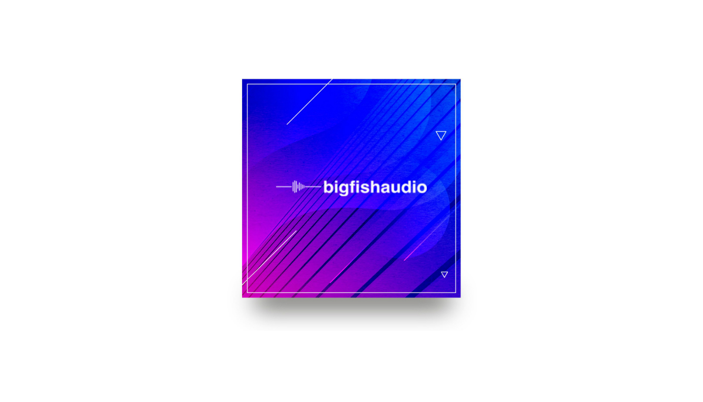 Big Fish Audio